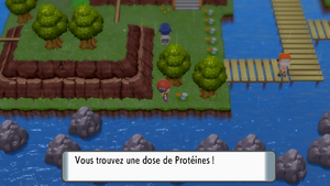 Route 212 Protéine DEPS.png