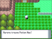 Route 214 Potion Max DP.png