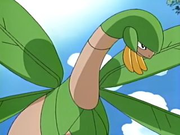 Tropius(sauvage)