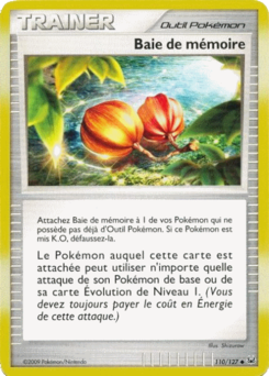 Baie de mémoire (Platine 110)