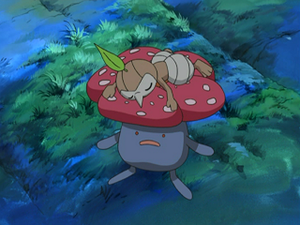 DP014 - Rafflesia.png