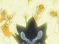 Luxray (d'un Dresseur)