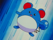 Marill(de Jacky)