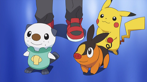 NB006 - Moustillon, Gruikui et Pikachu de Sacha.png