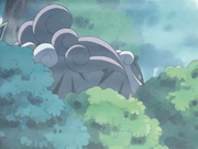 Raikou(sauvage)