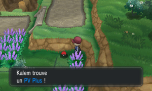 Route 19 PV Plus XY.png