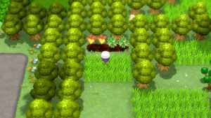 Route 229 Arbres à Baies DEPS.png