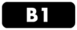 B1