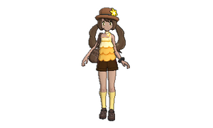 Vidéo Dresseur Décor Luminosité Écran blanc.png