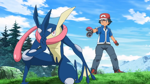 XY103 - Amphinobi de Sacha.png