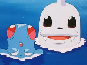 EP206 - Tentacool et Lamantine.png