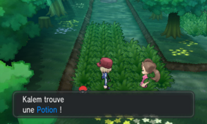Forêt de Neuvartault Potion du bout XY.png