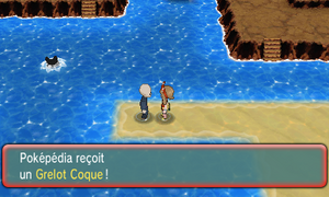 Grotte Tréfonds Grelot Coque ROSA.png