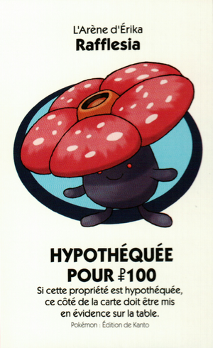 Monopoly Kanto - Arène 4C.png