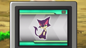 NB044 - Chacripan Pokédex.png
