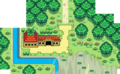La surface du Dojo Makuhita dans Pokémon Donjon Mystère : Équipe de Secours Rouge et Bleue.