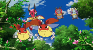 Coxy, Coxyclaque, Muciole et Lumivole sauvages Film 13.png