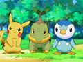Pikachu (de Sacha), Tortipouss (de Sacha) et Tiplouf (d'Aurore)
