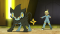 Luxray (de Lem)