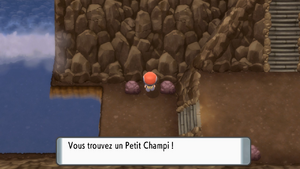 Mont Couronné Petit Champi 3 DEPS.png