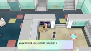 Sylphe SARL Précision + LGPE.jpg