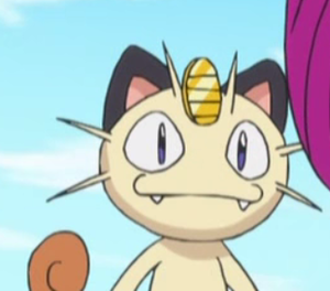 Miaouss XY001.png