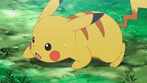 SL002 - Pikachu de Sacha.png