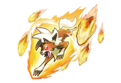 Lougaroc — Poképédia