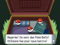 Pokémon Diamant et Perle