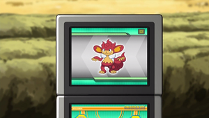 NB025 - Flamoutan Pokédex.png