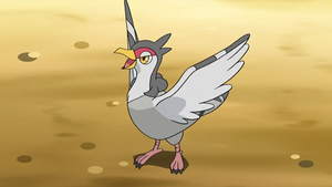 NB068 - Colombeau de Sacha.png