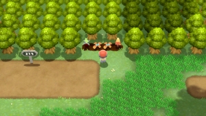 Route 213 Arbres à Baies DEPS.png