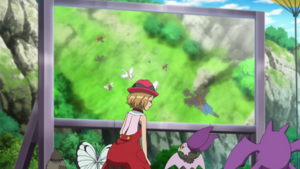 XY077 - Papilusion et Nostenfer d'un Dresseur.png