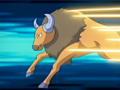 Tauros (de Sacha)