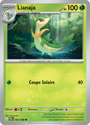 Carte Méga-Évolution Équilibre Parfait 005.png