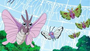 LV035 - Aéromite, Papilusion et Papinox de Goh.png