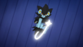 Luxray