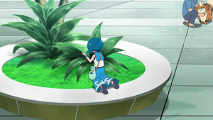 SL099 - Caninos d'un Dresseur.png