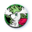 Pièce Pokémon - Shaymin (Forme Céleste)