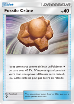 Fossile Crâne (Choc Spatio-Temporel 144)