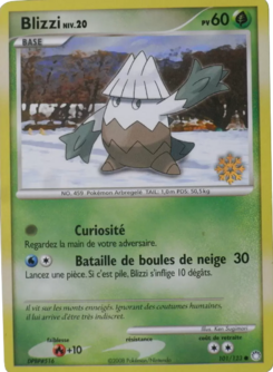 Blizzi (Diamant & Perle Trésors Mystérieux 101)
