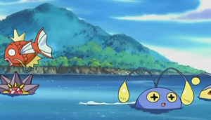 Chronicles 12 - Magicarpe et Staross Sauvages.png