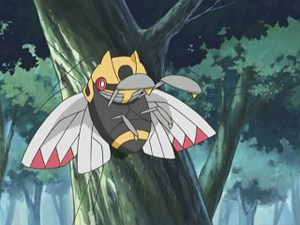 DP051 - Ninjask de Paul (Flash-back).png