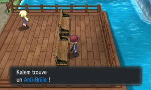 Mozheim Anti-Brûle XY.png