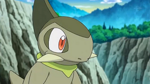 NB017 - Coupenotte d'Iris.png