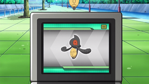 NB037 - Tutafeh Pokédex.png