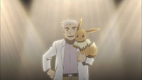 PO01 - Évoli du Professeur Chen.png