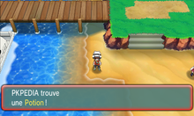 Route 104 Potion ROSA.png