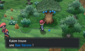 Route 19 Baie Nanone XY.png