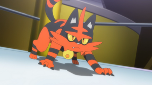 SL081 - Matoufeu de Sacha.png
